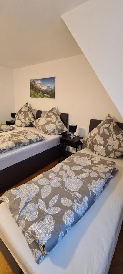 St Apartment Triberg im Schwarzwald Kültér fotó